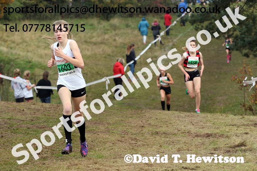 Girls under-13s, National Cross Country Relays, Berry Park, Mansfield. Photo: David T. Hewitson/Sports for All Pics